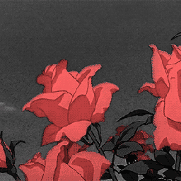 roses 🌹 aestheticgif gif aestgeticedit aesthetuceditbackground red