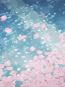 rain rainaesthetic rosepetals petals petalsaesthetic aestheticeditbackground blingeffect wateraesthetic