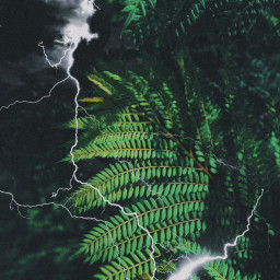 collage doubleexposure edit transform tropical storm lightining freetoedit