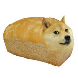 breaddoge doge meme