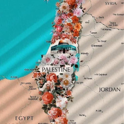 flower palestine