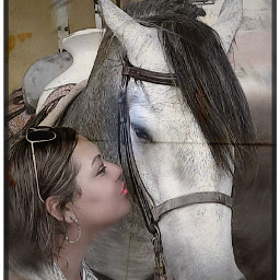 myhorse countryliving kiss blureffects