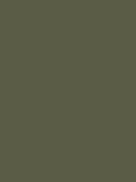 swampgreen armygreen