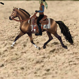 westernrider horseriding freetoedit