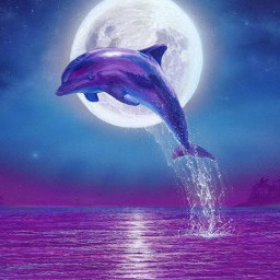 moon dolphin ocean water color sky