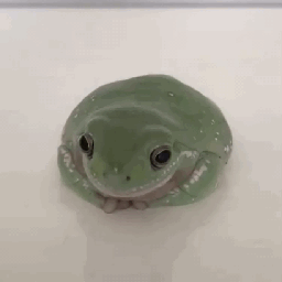 frog froggy crown cute thankyou gif green adorable majesty frogprince froghat