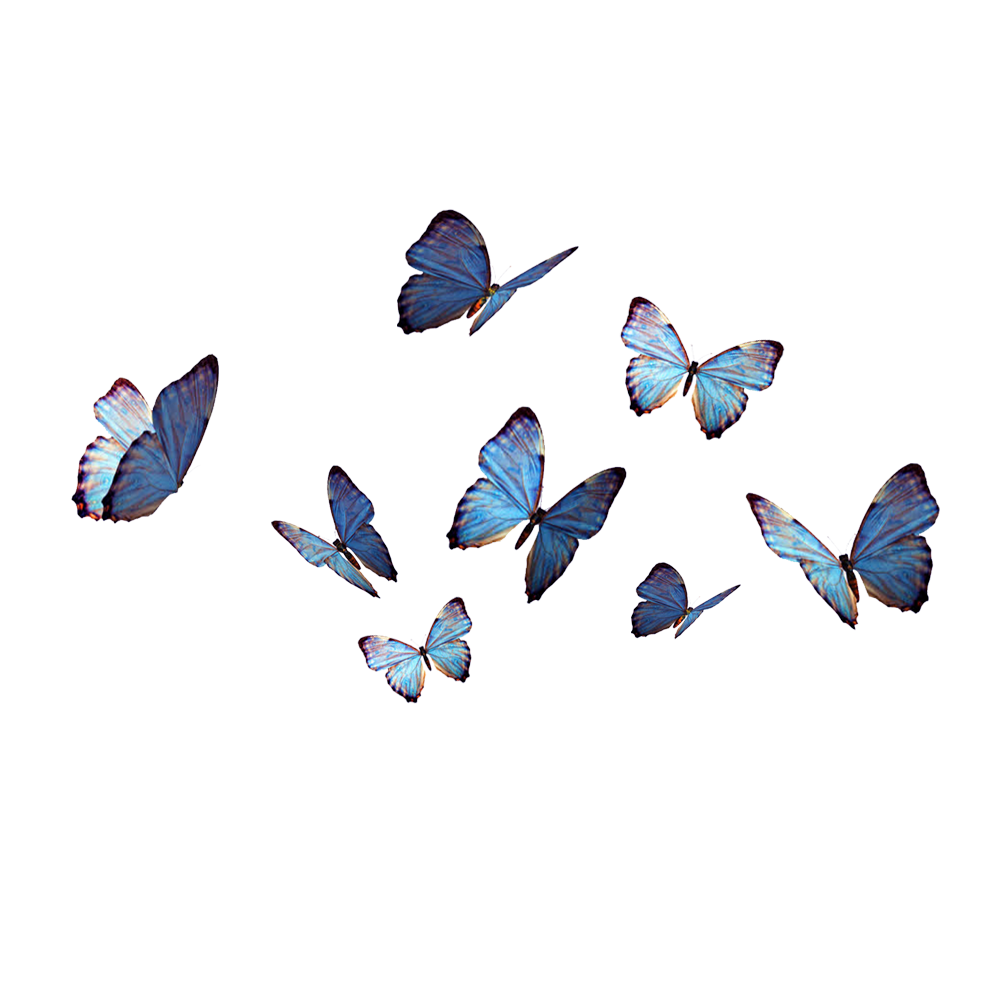 butterflies blue insect nature sticker by @agdemoss80