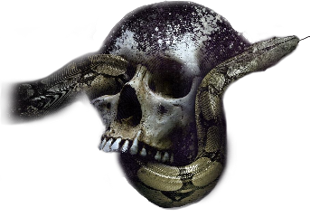 snakes skulls snake skull skullart wispy darkart night purple bones neversaydie purgeplanet purge mood midnighttyrannosaurus rickandmorty dubstep edm freetoedit