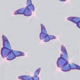 butterflies butterfly butterflywings butterflybackground y2kaesthetic background purple purplebutterfly