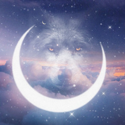 lobo animal moon luna estrellas stars freetoedit
