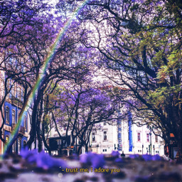 freetoedit purple lavender trees scenary photography trustmeiadoreyou quote rainbow pretty ninahayess