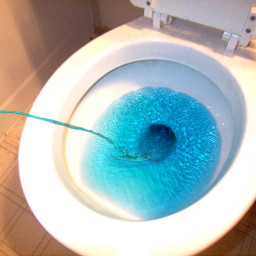 pee piss blue bluepee bluepiss lapislazuli toilet toilets loo wc toiletbowl