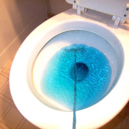 pee piss blue bluepee bluepiss lapislazuli toilet toilets loo wc toiletbowl pov
