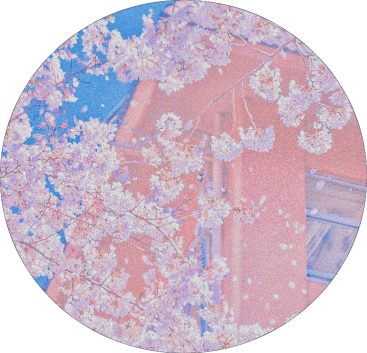 spring japan sakura asethetic sticker by @fluore_scent