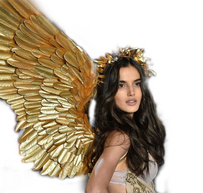 angel angelcore golden wings sticker by @ariannegrey08
