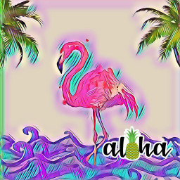 freetoedit aloha flamingo beach hellosummer ocean palmtrees colourful cool summer ninahayess
