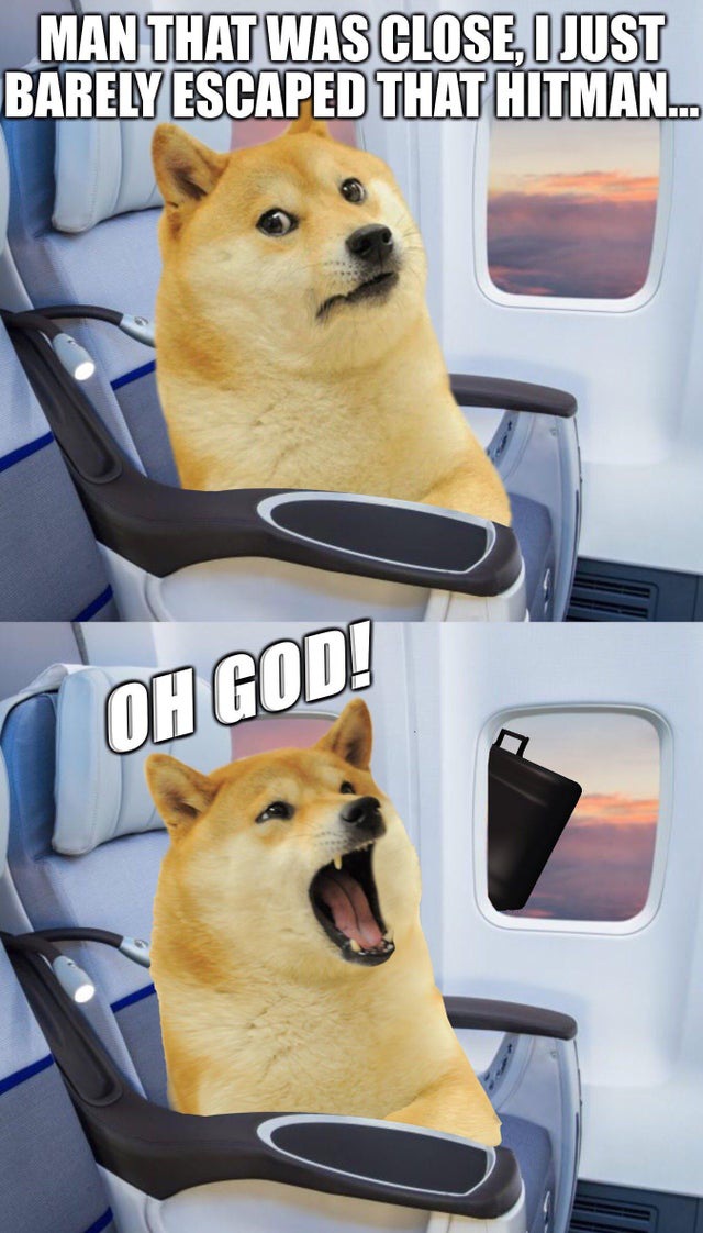 Dogememe Similar Hashtags Picsart
