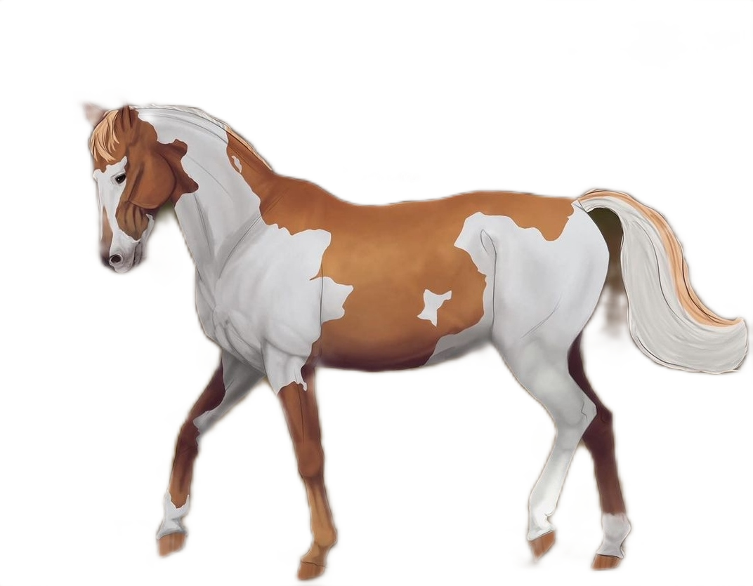 horse-freetoedit-horse-sticker-by-stickers-horse