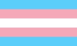 pride prideflag flag lgbt lgbtq lgbtqplus lgbtpride trans transgender transflag transgenderflag transpride transgenderpride freetoedit