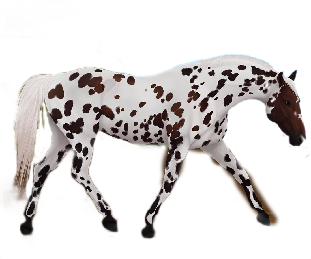 horse-freetoedit-local-horse-sticker-by-stickers-horse