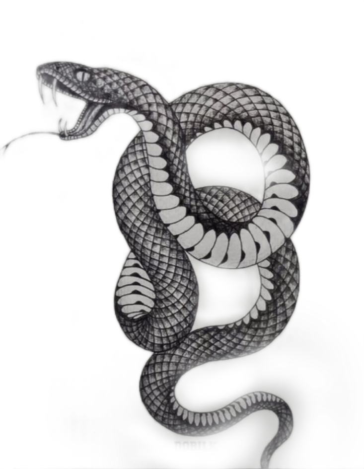 snek freetoedit #snek sticker by @0e475iaygla9hgejm2kj