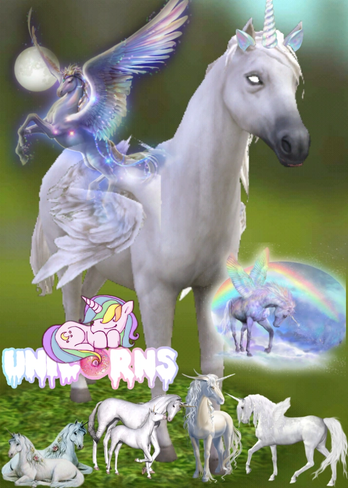 #unicorn #unicornpower #iloveunicorns #unicornsarereal