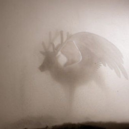 freetoedit deer stag stags deers deerwithwings winged wing wings wingeddeer stagwithwings fog foggy foggyday animal fantasy magic magical darkaesthetic darkacademia