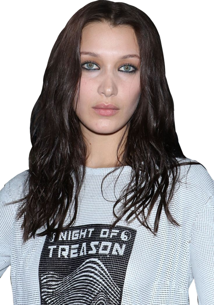 Bella Hadid Bellahadid Hadids Sticker By Quinctyz