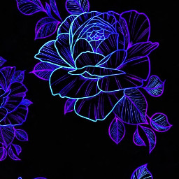 flower flowerwallpaper neon neonflowers