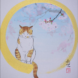 drawing art cat sakura cherryblossom sleep japan 猫 桜 色紙 freetoedit