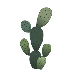 freetoedit cactus freeforbusiness ftestickers orginalsticker