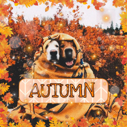 freetoedit editpic autumn autumneditwar