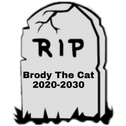 goodbyebrodythecat2030 freetoedit default