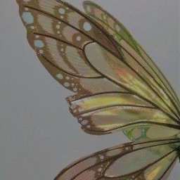 butterflywings green aesthetic manifestation