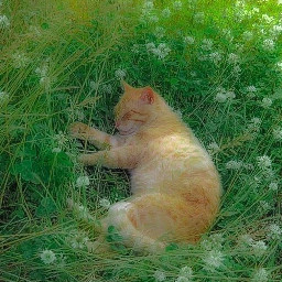 freetoedit cute green cat colorgreen