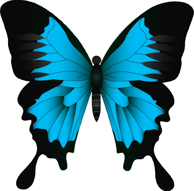 bluebutterfly freetoedit sticker by @rebelbutterfly68