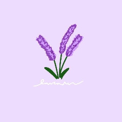 lavendarlilly13