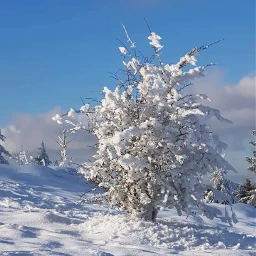 pcsnowylandscapes snowylandscapes myphoto📸 myphoto