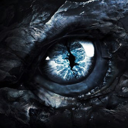 animal dark beauty black color dragon eyes blueeye blue lightblue freetoedit