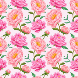 flowers floral spring summer rose patternbackgrounds pattern pink pinkbackground flowery beauty flowerbackground background wallpaper beautifulbackground freetoedit