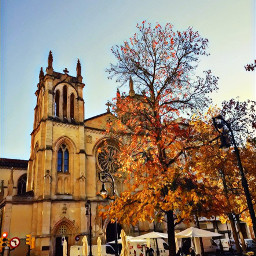 otoño2021 otoñomagico bellezaocre gijon gijonmagia gijonbelleza centro iglesia parque vida local