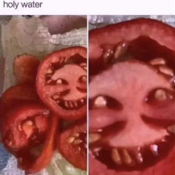meme memes cursed cursedmemes tomato food