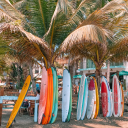 surfboard beach palm summer colourful unsplash freetoedit