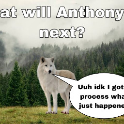 freetoedit whatwillhappennext replaystory anthony wolf rabbit hunting wolves whoknowswhatcouldhappens whee bunny