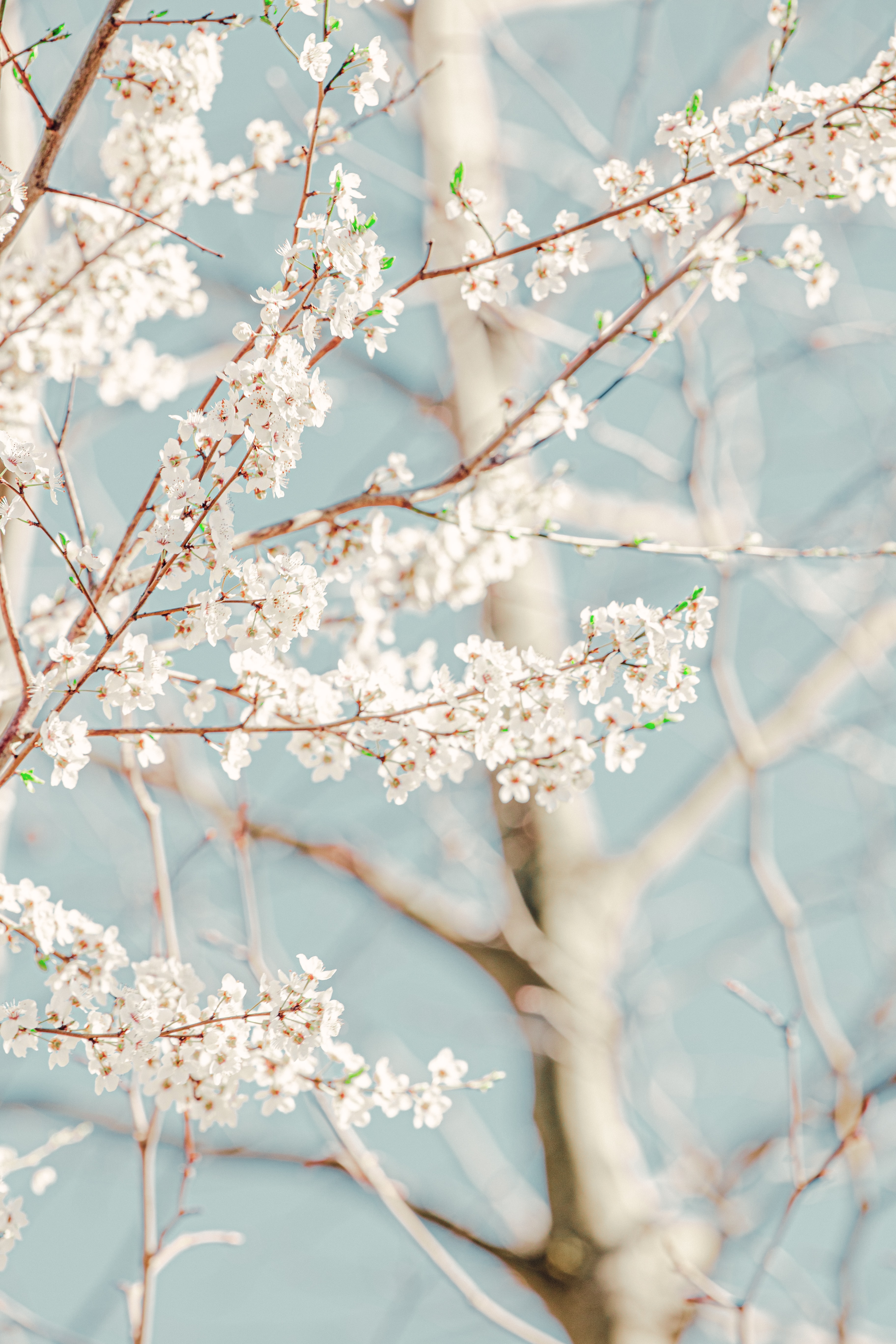 backgrounds u0026 similar hashtags Picsart