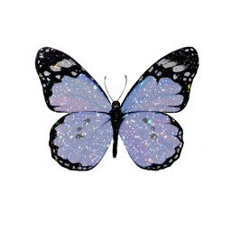 butterfly mariposa insect glitter shine freetoedit