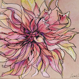 dahlias watercolor myartwork painting artistic pinkflower freetoedit