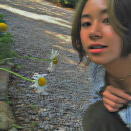s: interesting chaeyoung twice flowers daisy sunflower aesthetic girl taehyung instagram aestheticgirl pfp freetoedit local billieeilish s