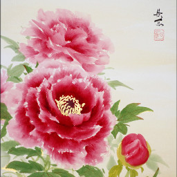 art drawing peony flower japan 牡丹 ボタン 色紙 墨彩画 アート freetoedit