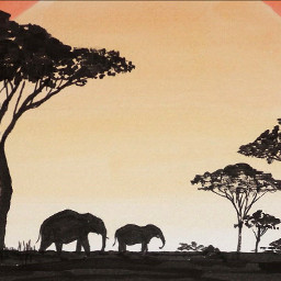 drawing art savannah sunset giraffe elephant zebra japan サバンナ 夕日 freetoedit